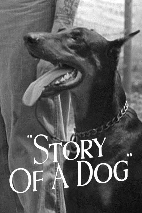 Story of a Dog FHD