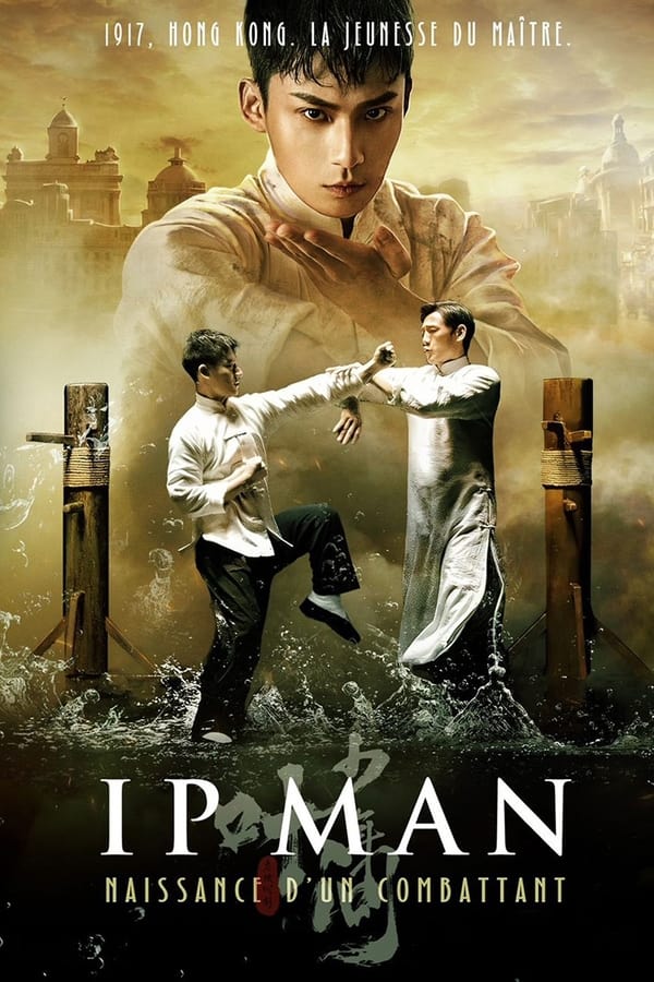 Ip Man : Naissance d'un combattant FHD MULTI