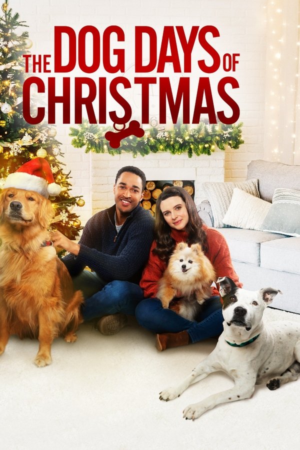 Avec toi pour Noël FHD